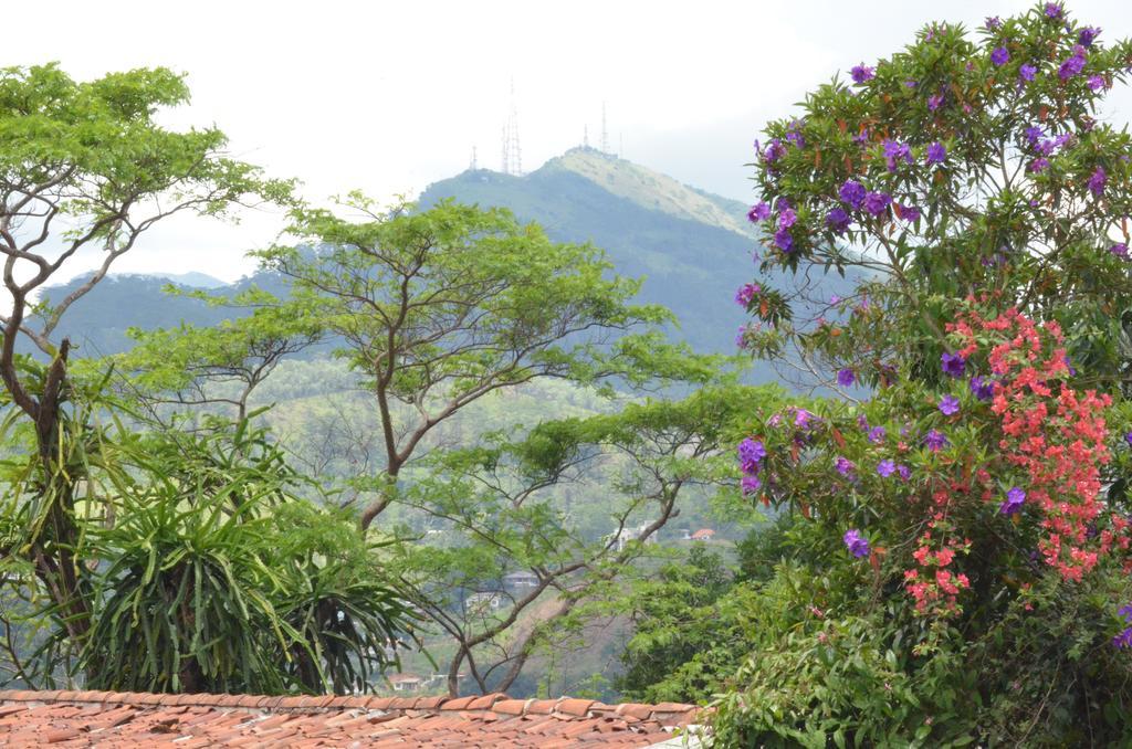 The Buena Vista Kandy Bagian luar foto