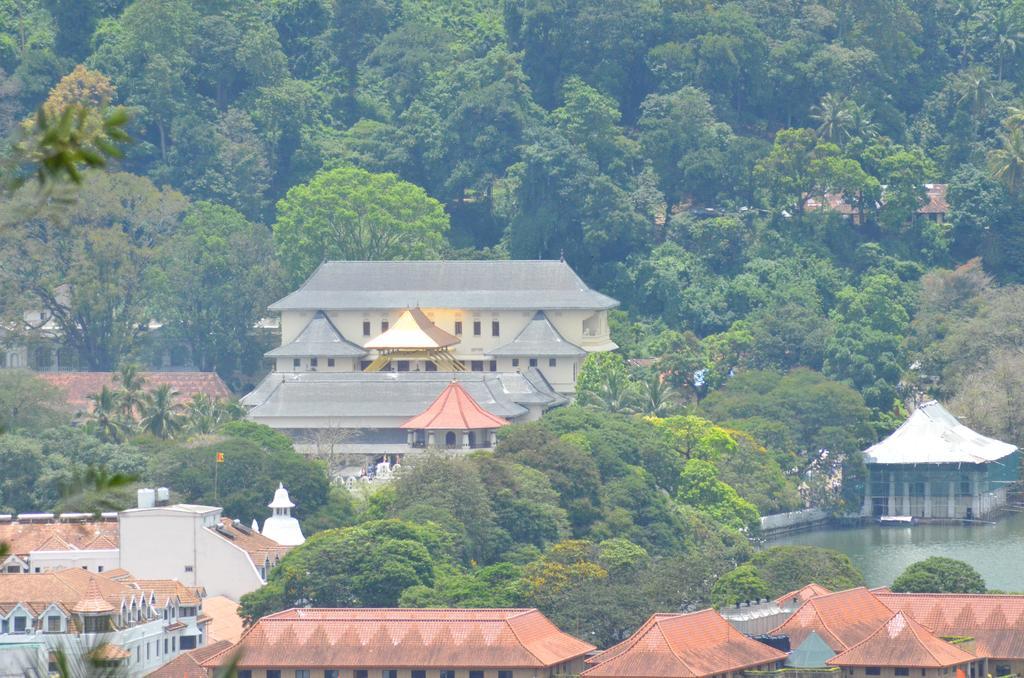 The Buena Vista Kandy Bagian luar foto