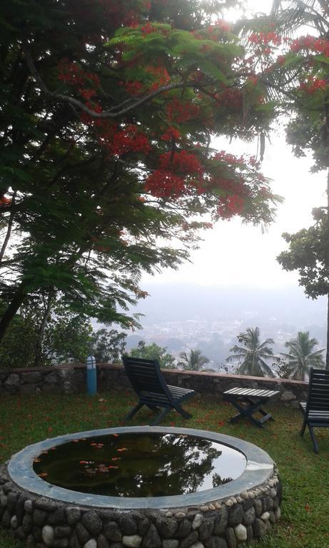 The Buena Vista Kandy Bagian luar foto